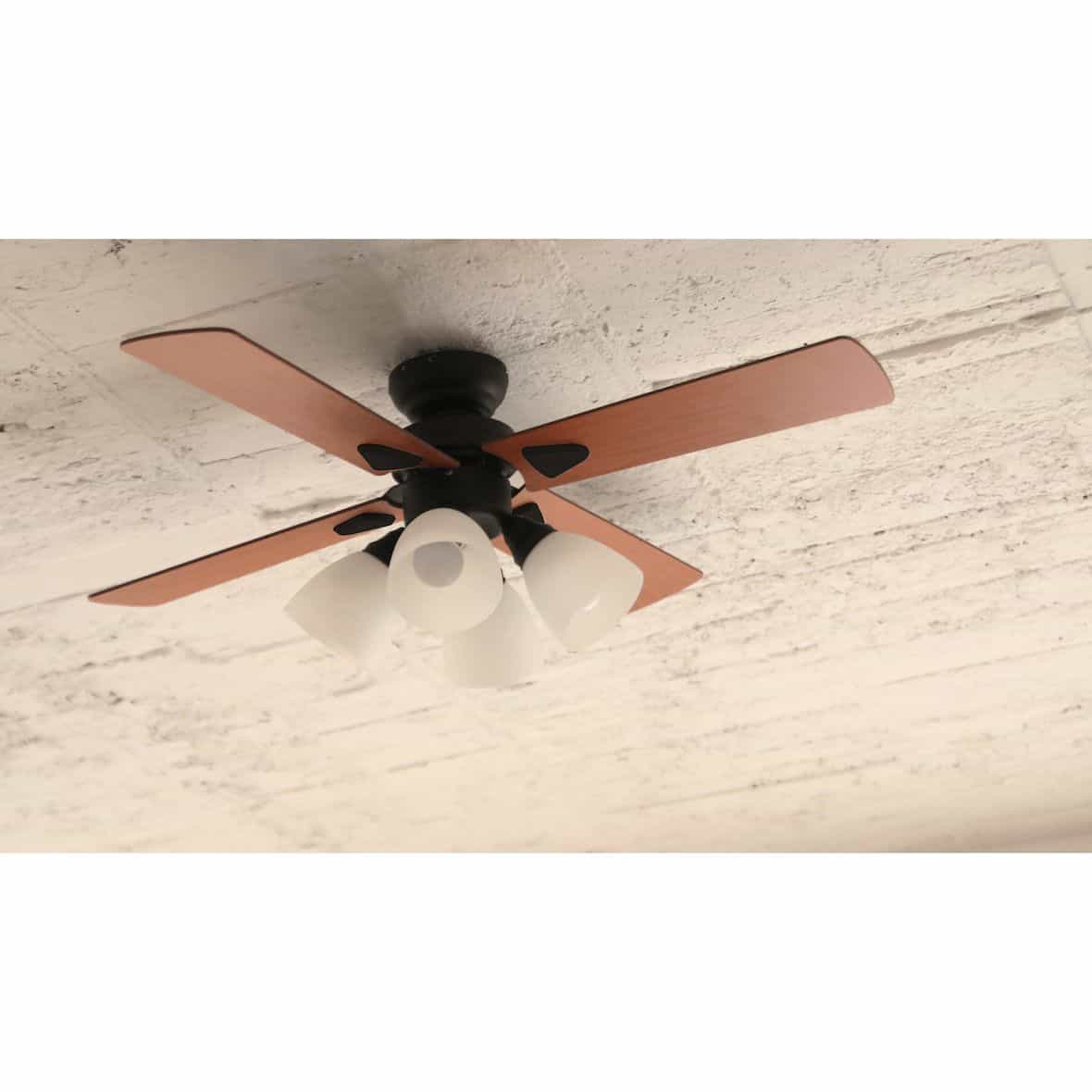 WINDOUBLEブラック BIG-101-BK○○納期要確認○○｜ファニチャードーム