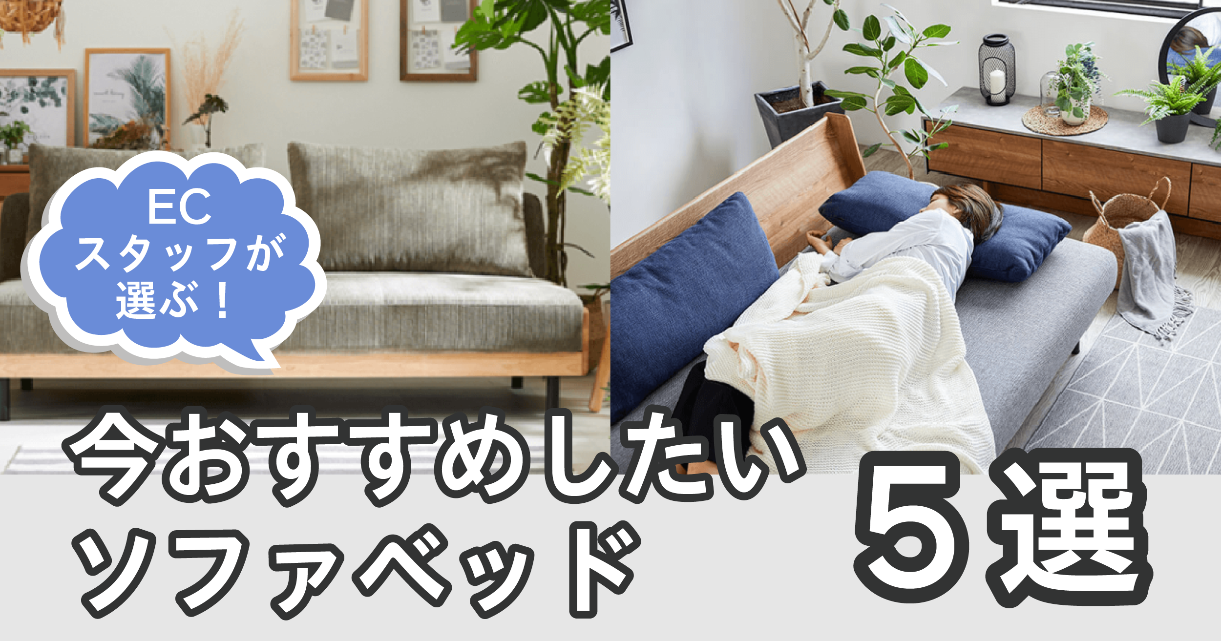ECスタッフが選ぶ！今おすすめしたいソファベッド５選