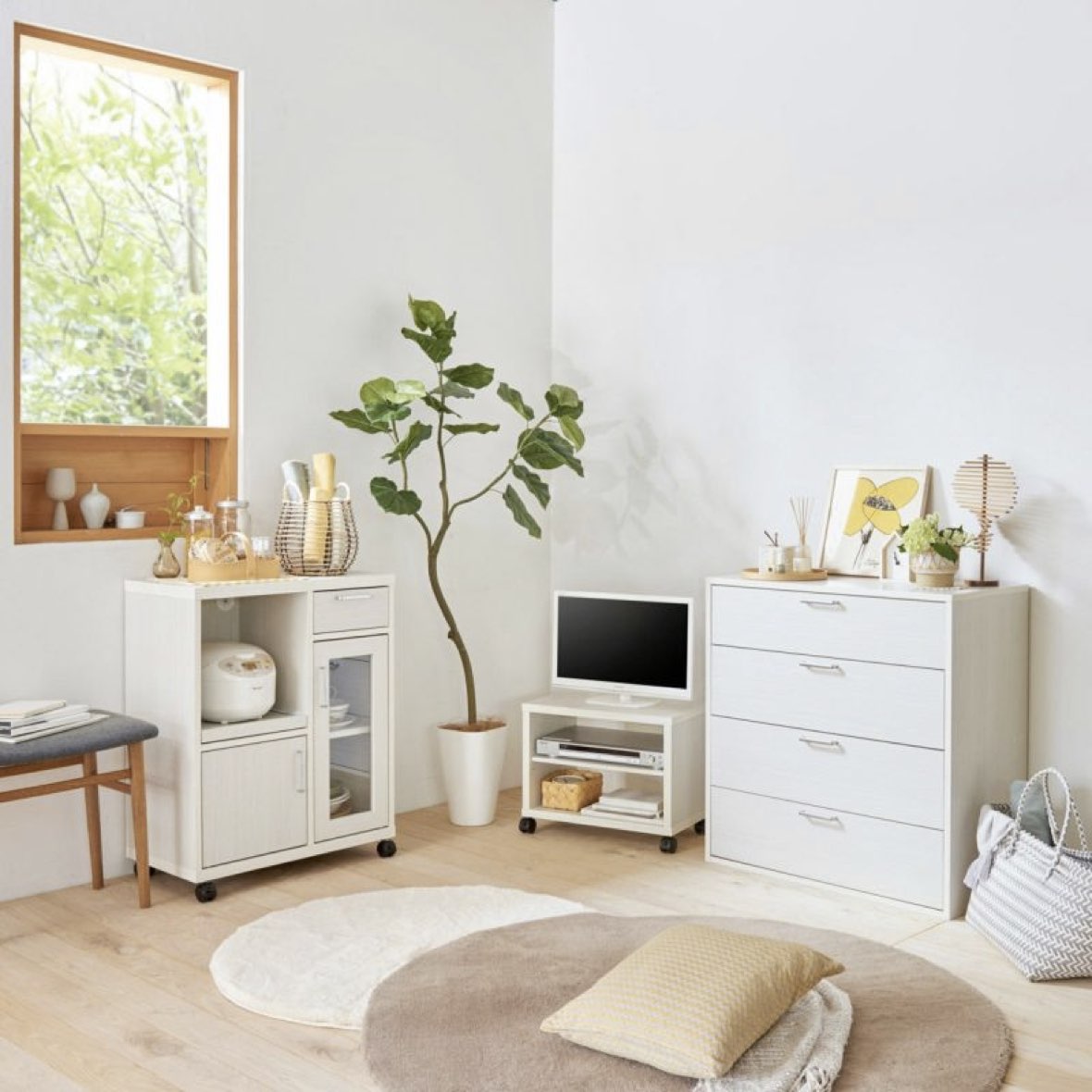 ファニチャードーム 白井産業 フルニコ 組立家具